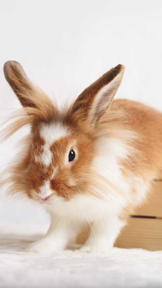 Books y Videobooks para actores y actrices en Madrid